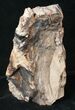 Free-Standing Petrified Wood (Sequoia) - Rogers Mtn, OR #16902-2